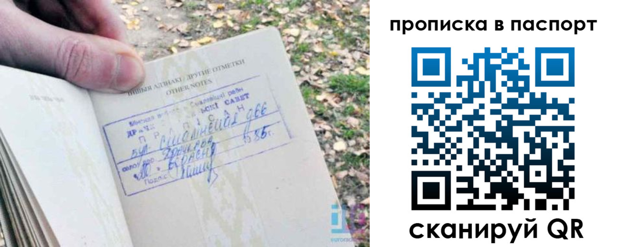 купить прописку в Семилуках